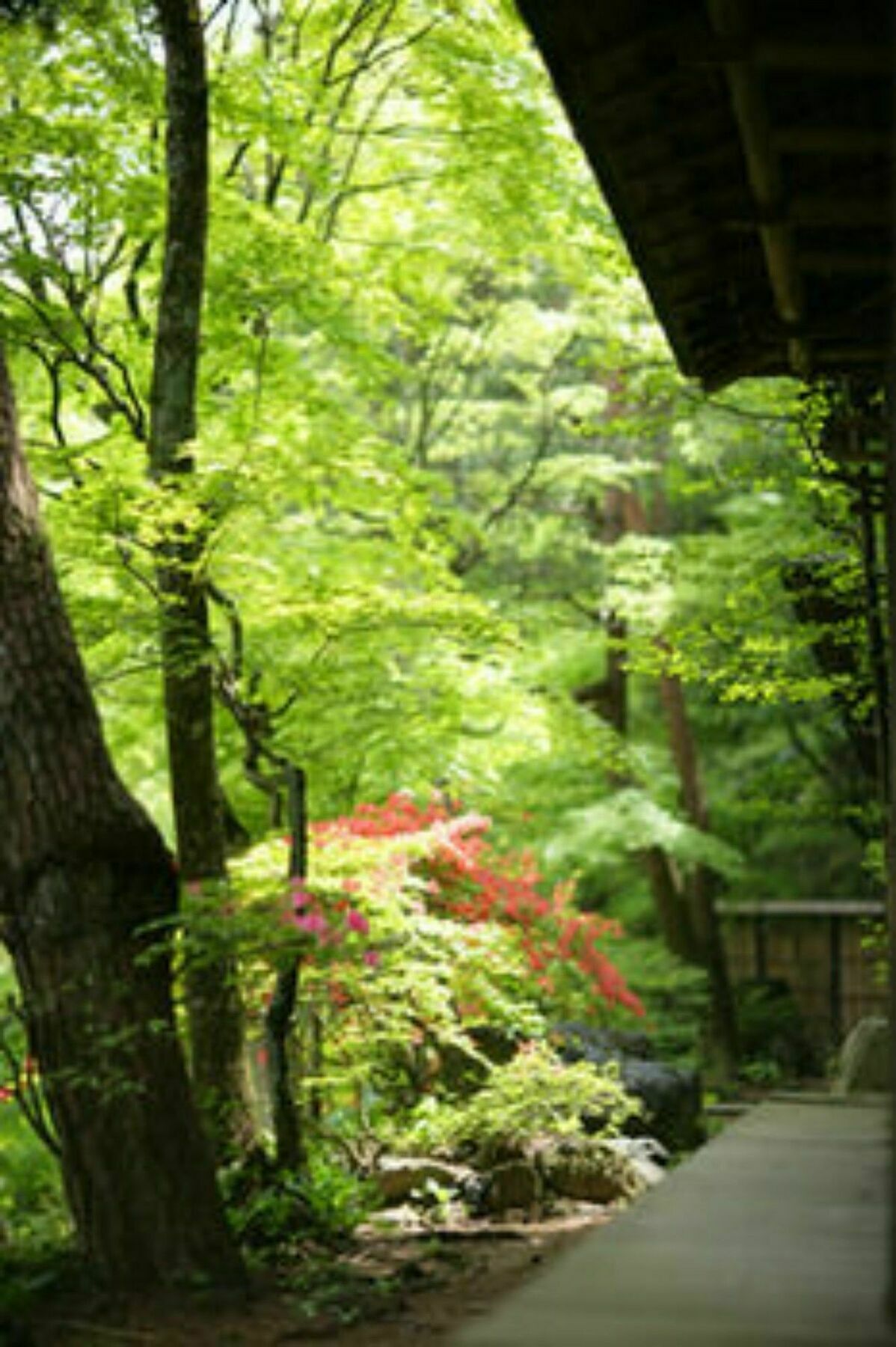 Sekizenkan Kashotei Sanso Nakanojo Extérieur photo